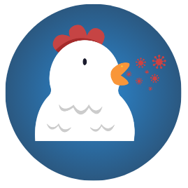 rapidtests